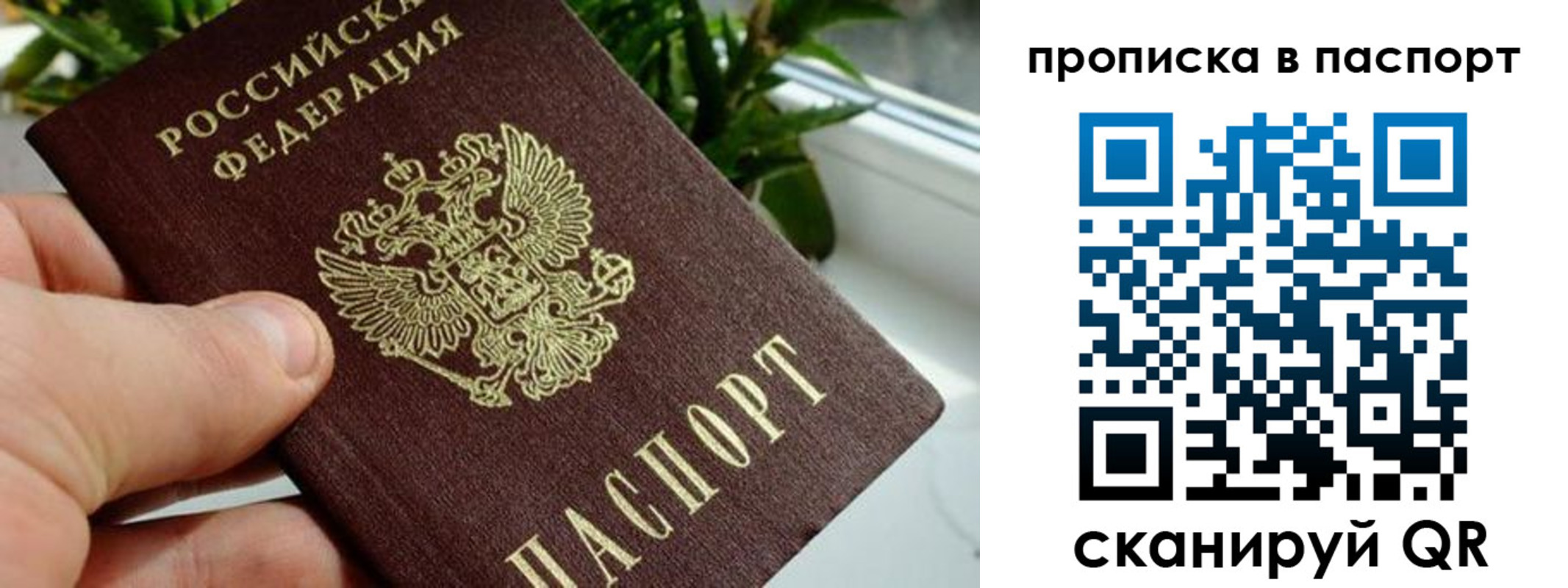 пропишу в квартире в Сертолово